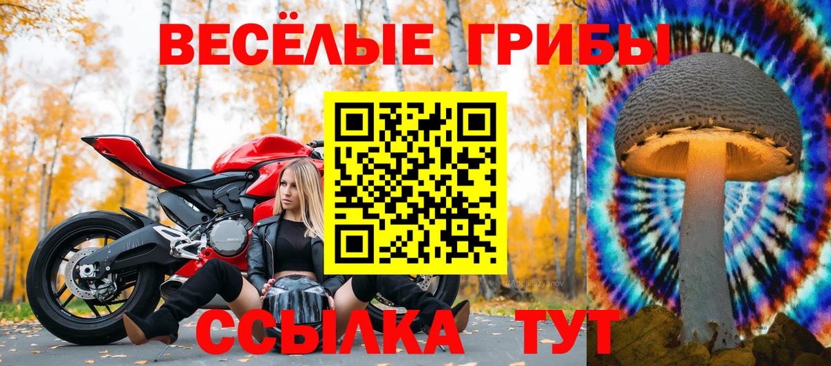 Галлюциногенные грибы MAGIC MUSHROOMS  Вход с VPN  Лесной 